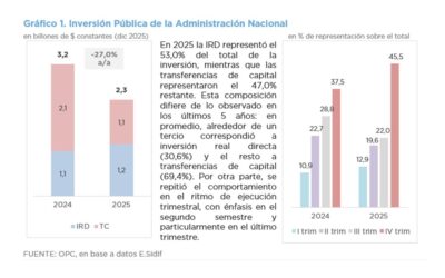 ANÁLISIS DE LA EJECUCIÓN PRESUPUESTARIA DE LA INVERSIÓN PÚBLICA – AÑO 2025