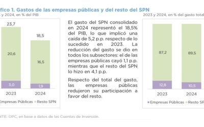 ANÁLISIS PRESUPUESTARIO DE LAS EMPRESAS PÚBLICAS DEL SECTOR PÚBLICO NACIONAL 2024