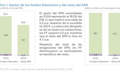 ANÁLISIS PRESUPUESTARIO DE LOS FONDOS FIDUCIARIOS DEL SECTOR PÚBLICO NACIONAL NO FINANCIERO – 2024