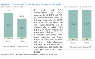 ANÁLISIS PRESUPUESTARIO DE LOS OTROS ENTES DEL SECTOR PÚBLICO NACIONAL NO FINANCIERO 2024