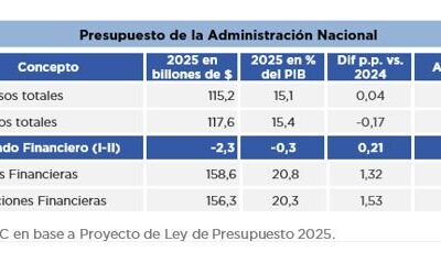 PROYECTO DE LEY DE PRESUPUESTO 2025 DE LA ADMINISTRACIÓN NACIONAL