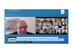 Exposición de la OPC en el Senado sobre el Proyecto de Ley de Presupuesto 2021