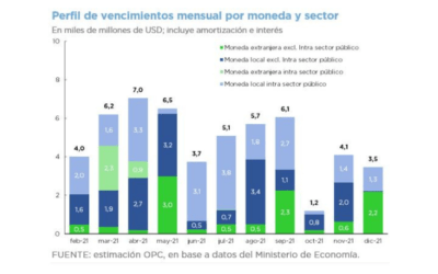 OPERACIONES DE DEUDA PÚBLICA – ENERO 2021