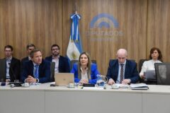 La OPC participó de la reunión de la Comisión de Peticiones, poderes y reglamento de la Cámara de Diputados