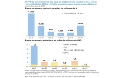 OPERACIONES DE DEUDA PÚBLICA – JUNIO 2025