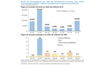 OPERACIONES DE DEUDA PÚBLICA – MAYO 2025