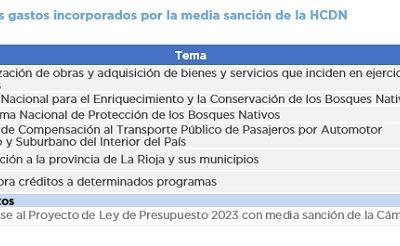 PROYECTO DE LEY DE PRESUPUESTO 2023 MEDIA SANCIÓN DE LA HCDN