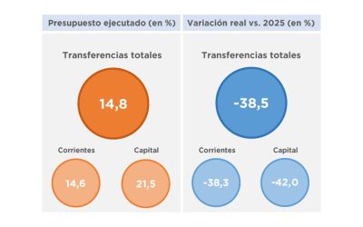 TRANSFERENCIAS PRESUPUESTARIAS DE LA ADMINISTRACIÓN PÚBLICA NACIONAL A GOBIERNOS PROVINCIALES – ACUMULADO A ABRIL 2026